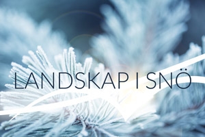 Landskap i snö