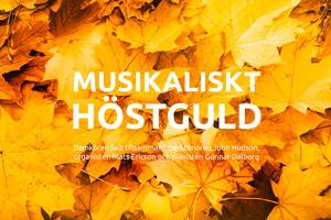 Liten bild för inbjudan till konsert i Åhus