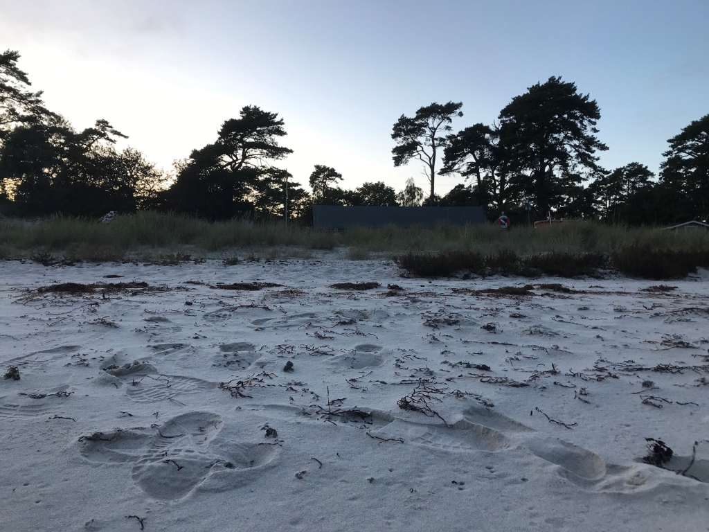 Ålabodstak på stranden