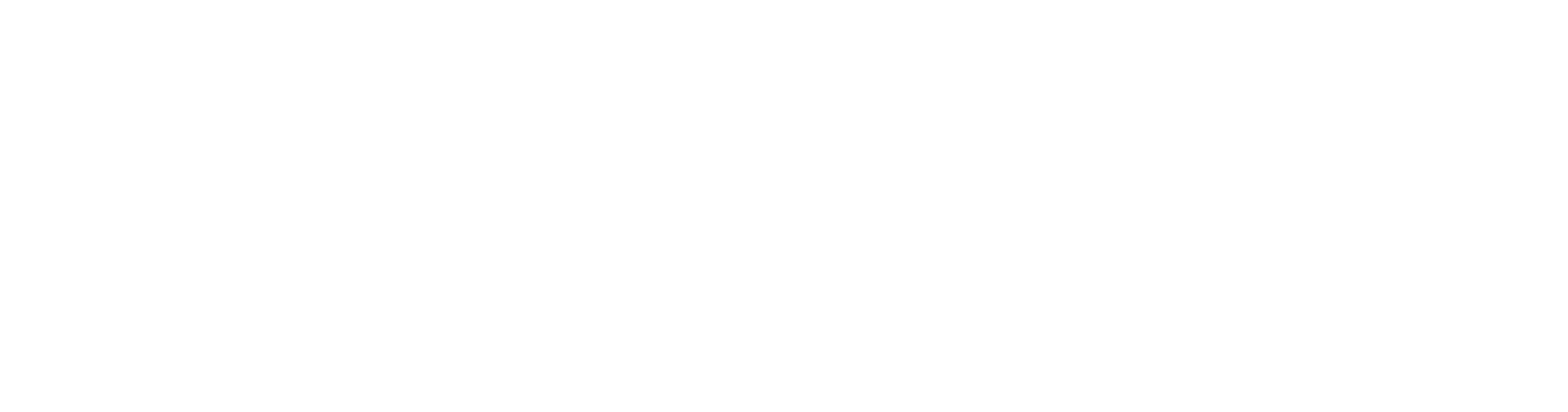 Damkören SALT logotyp i vitt